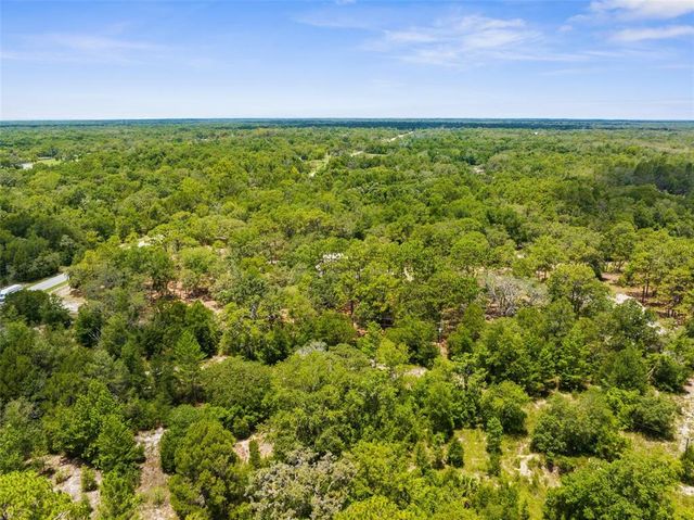17207 BOSLEY DRIVE, Spring Hill, FL 34610