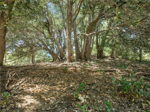2727 Delle, Crestline, CA 92325