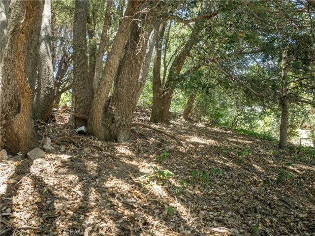 2727 Delle, Crestline, CA 92325