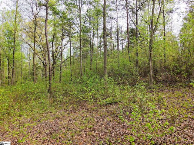 579 Mordeci Mountain Road, Gray Court, SC 29645