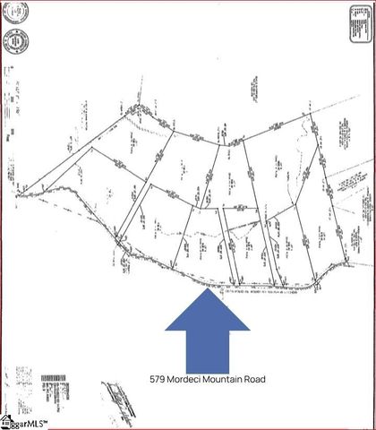 579 Mordeci Mountain Road, Gray Court, SC 29645