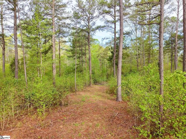 579 Mordeci Mountain Road, Gray Court, SC 29645