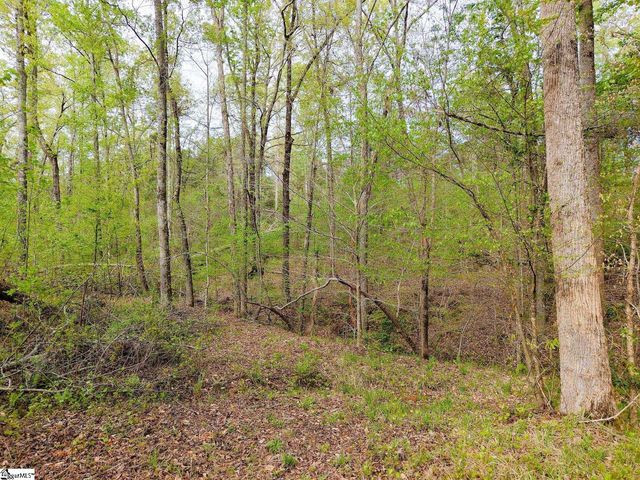 579 Mordeci Mountain Road, Gray Court, SC 29645