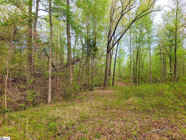 579 Mordeci Mountain Road, Gray Court, SC 29645