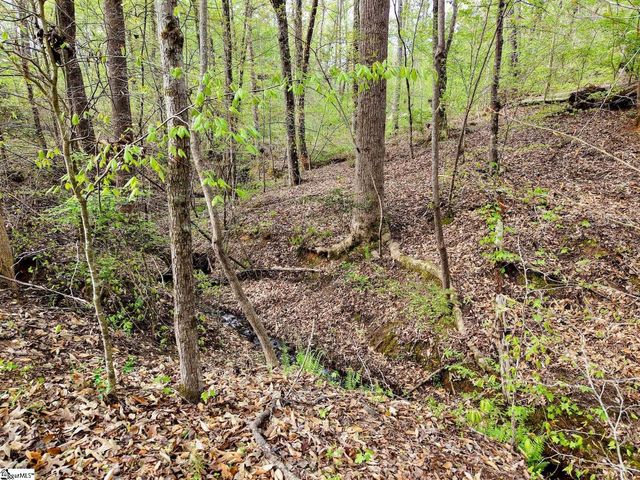 579 Mordeci Mountain Road, Gray Court, SC 29645