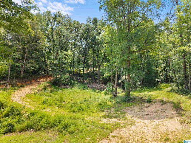 9777 RAILROAD ROAD, Pinson, AL 35126