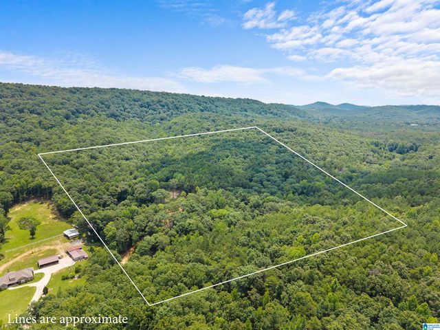 9777 RAILROAD ROAD, Pinson, AL 35126