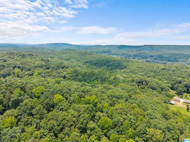 9777 RAILROAD ROAD, Pinson, AL 35126