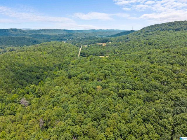 9777 RAILROAD ROAD, Pinson, AL 35126