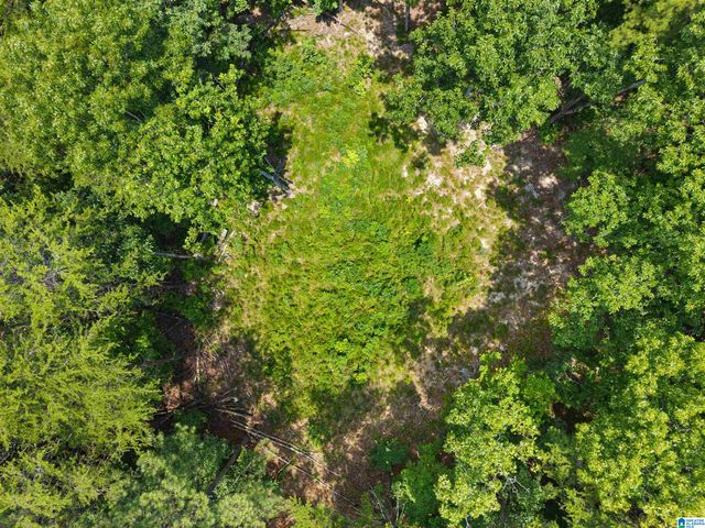 9777 RAILROAD ROAD, Pinson, AL 35126