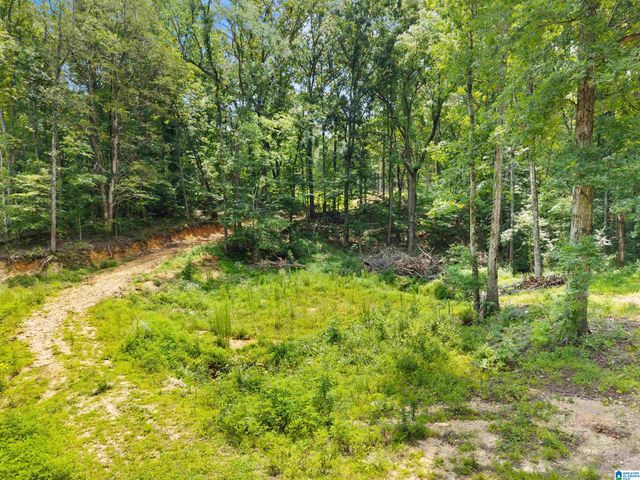 9777 RAILROAD ROAD, Pinson, AL 35126