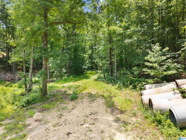 9777 RAILROAD ROAD, Pinson, AL 35126