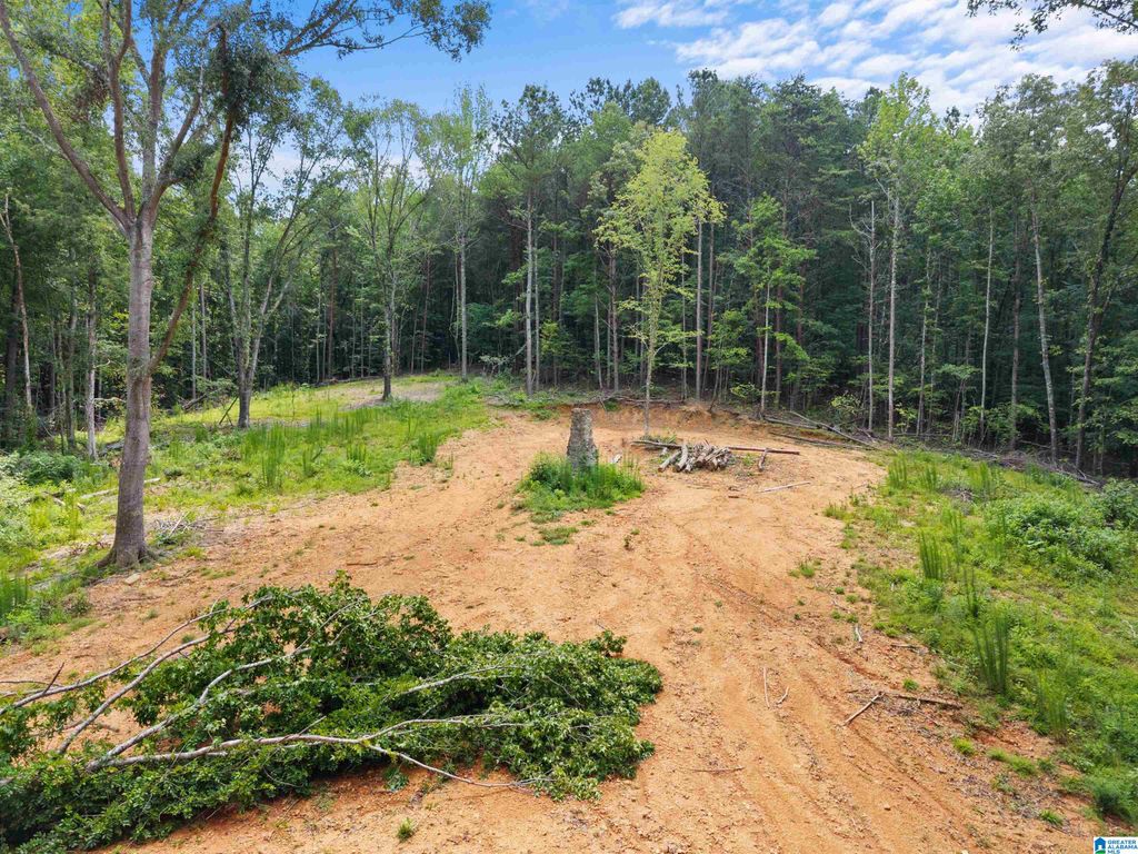 9777 RAILROAD ROAD, Pinson, AL 35126