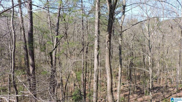 4912 MOUNTAIN VIEW PARKWAY, Birmingham, AL 35244