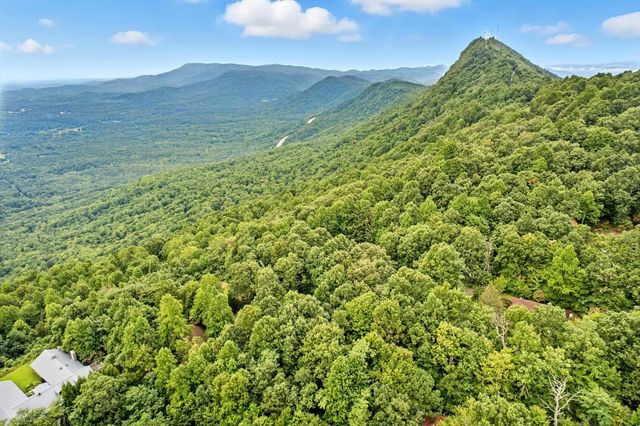 3605 Skyuka Mountain Road, Columbus, NC 28722