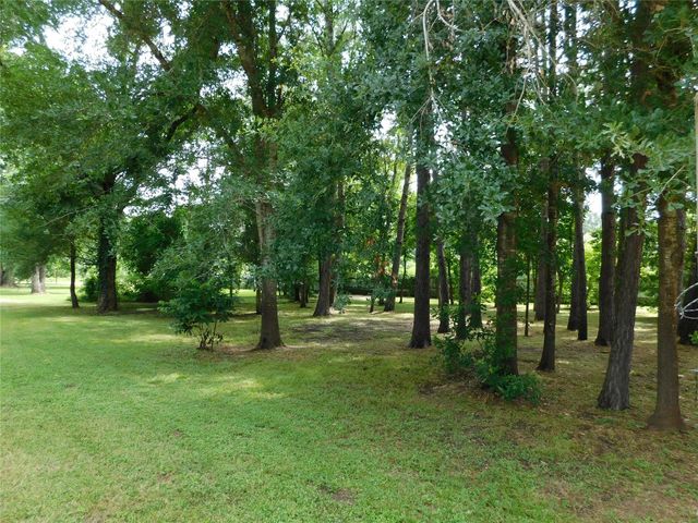 141 Martinez Street, Coldspring, TX 77331