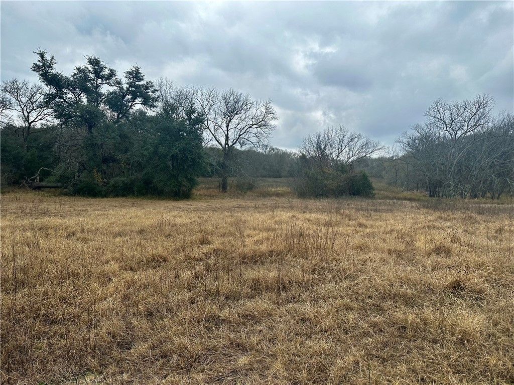 9999 Fm 60 E, Somerville, TX 77879 — photo 2