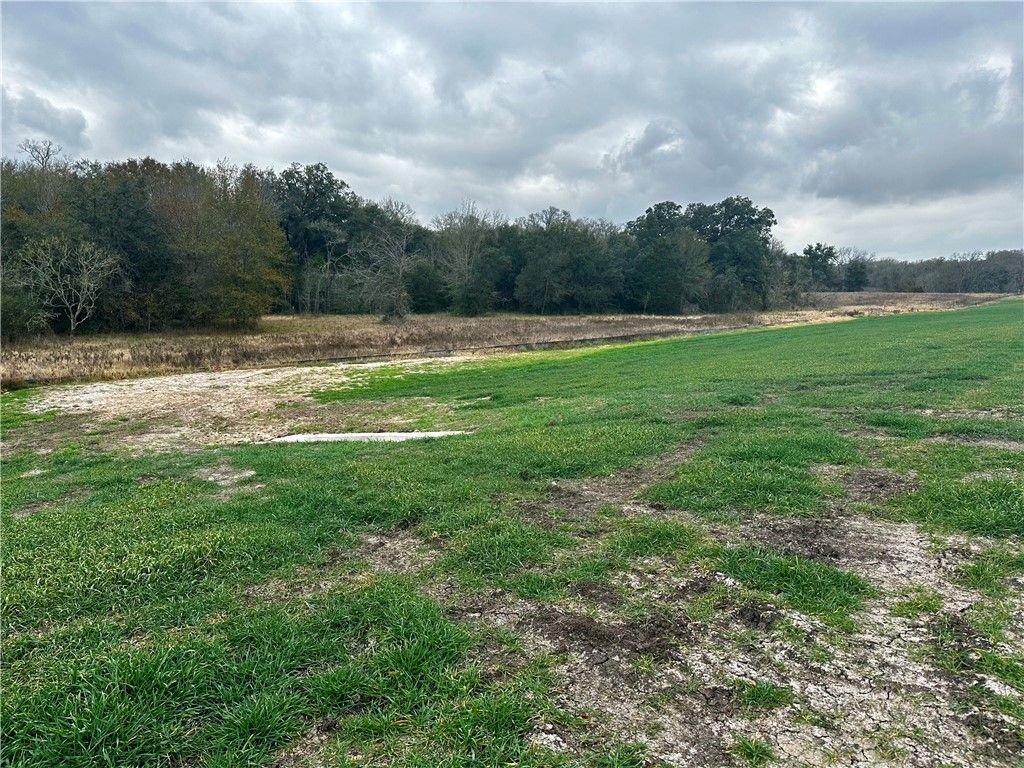 9999 Fm 60 E, Somerville, TX 77879 — photo 5