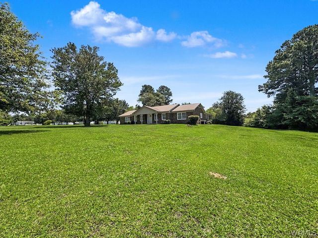 11441 Pat McGee Dr, Cottondale, AL 35453