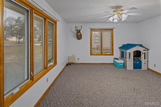 1140 Brooklane Drive, Carrollton, IL 62016