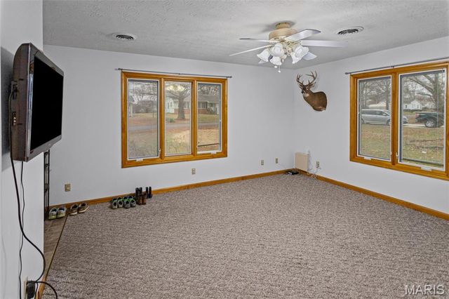 1140 Brooklane Drive, Carrollton, IL 62016