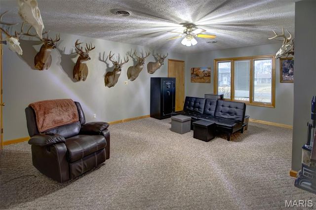 1140 Brooklane Drive, Carrollton, IL 62016