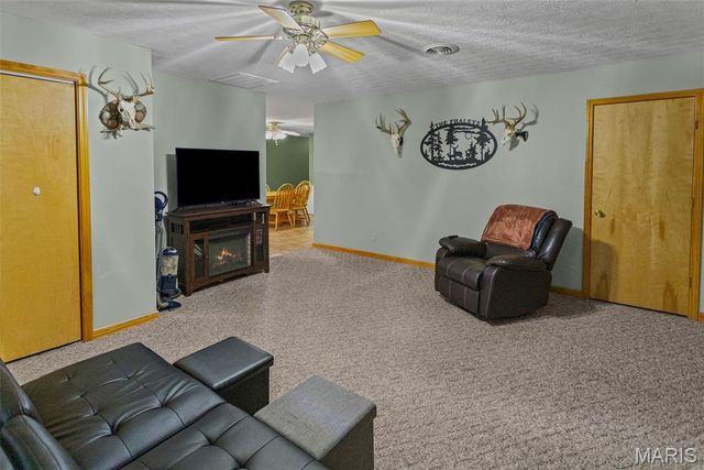 1140 Brooklane Drive, Carrollton, IL 62016