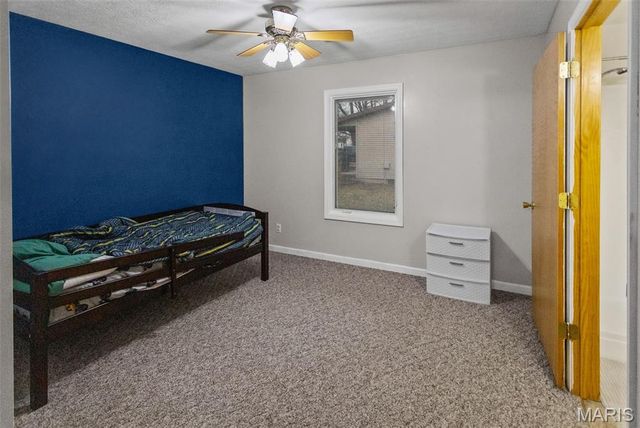 1140 Brooklane Drive, Carrollton, IL 62016