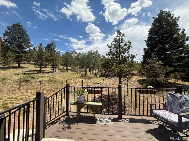 24 Big Horn Circle, Florissant, CO 80816