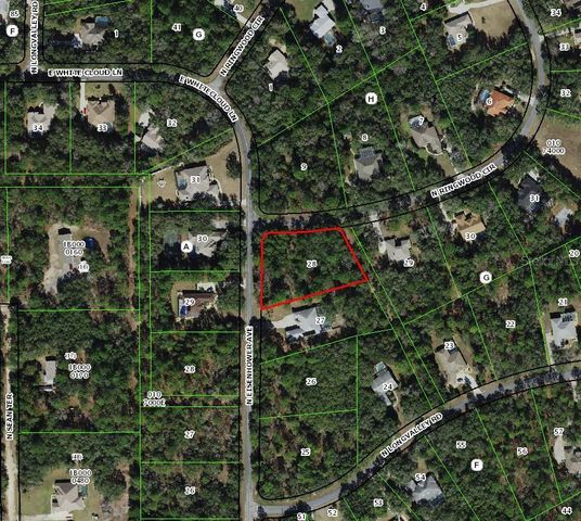 4001 N RINGWOOD CIRCLE, Hernando, FL 34442