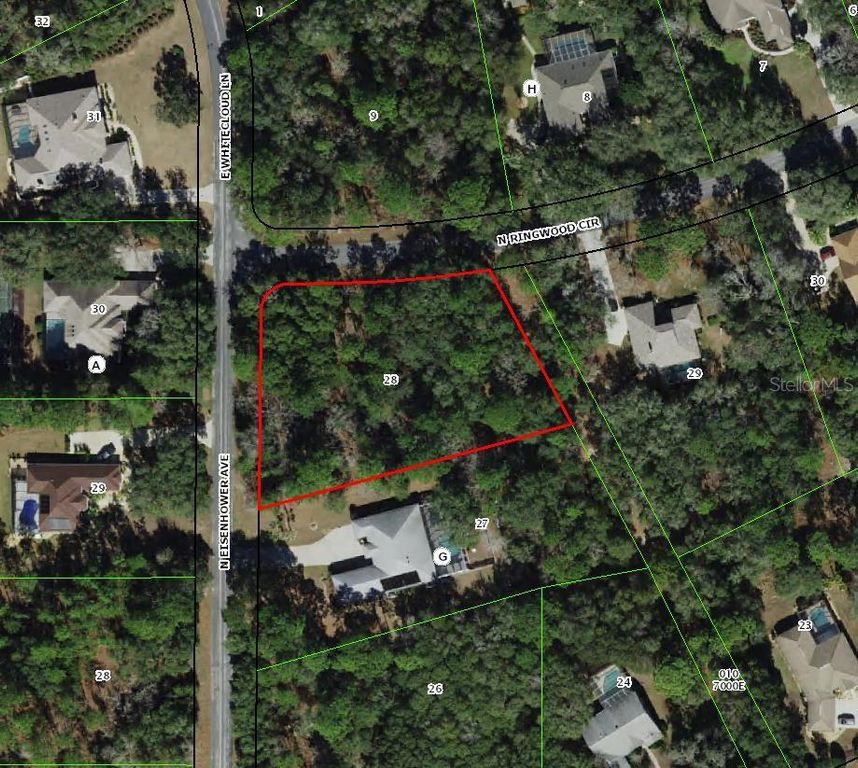 4001 N RINGWOOD CIRCLE, Hernando, FL 34442