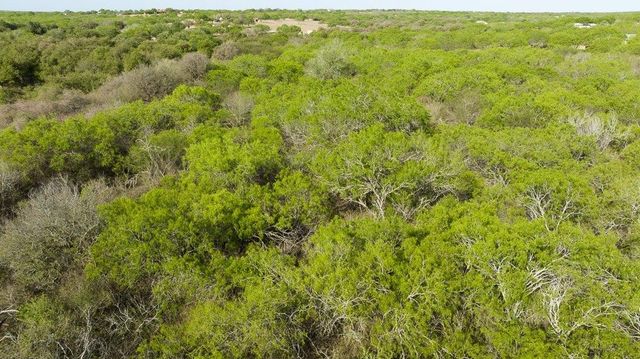 000 FM 3088, Sandia, TX 78380