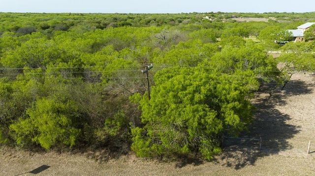 000 FM 3088, Sandia, TX 78380