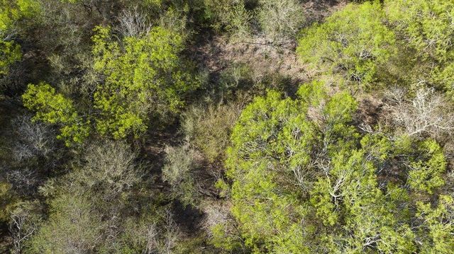 000 FM 3088, Sandia, TX 78380