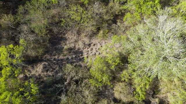 000 FM 3088, Sandia, TX 78380