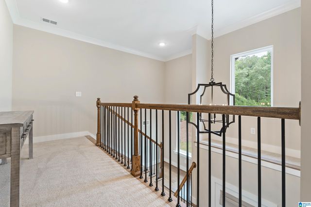 163 BRYNLEIGH DRIVE, Chelsea, AL 35043