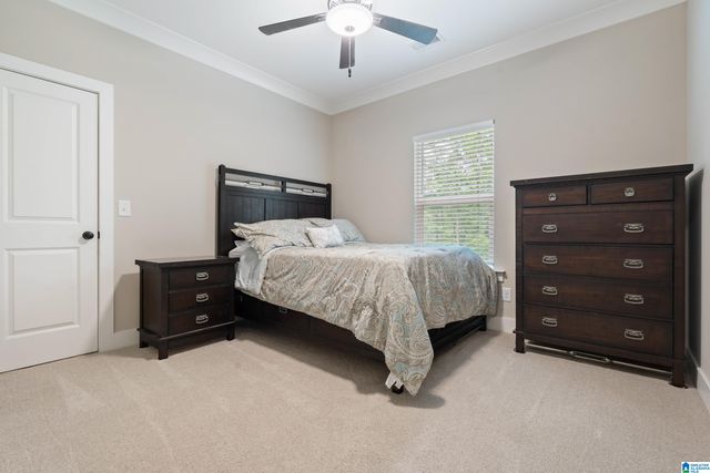 163 BRYNLEIGH DRIVE, Chelsea, AL 35043