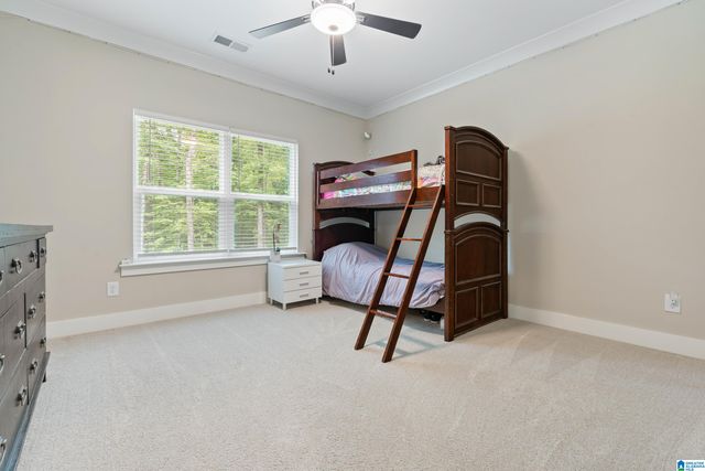 163 BRYNLEIGH DRIVE, Chelsea, AL 35043