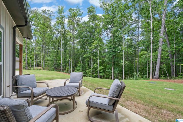 163 BRYNLEIGH DRIVE, Chelsea, AL 35043
