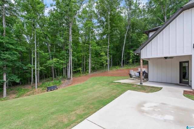 163 BRYNLEIGH DRIVE, Chelsea, AL 35043