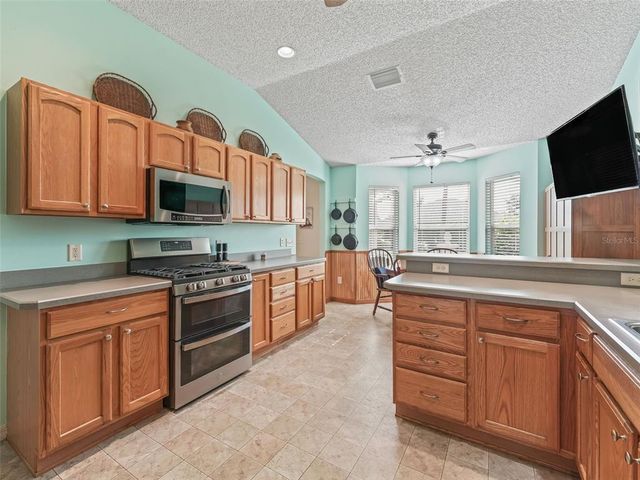 1309 CATALANI LANE, The Villages, FL 32162