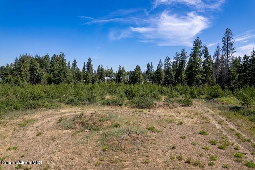 NNA Highway 41, Spirit Lake, ID 83869 photo 11