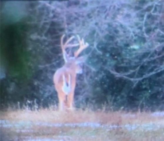 2203 S Owings Street, Oak Grove, MO 64075