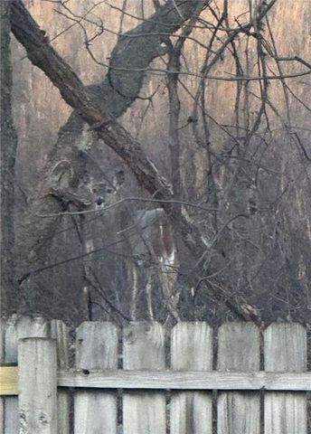 2203 S Owings Street, Oak Grove, MO 64075