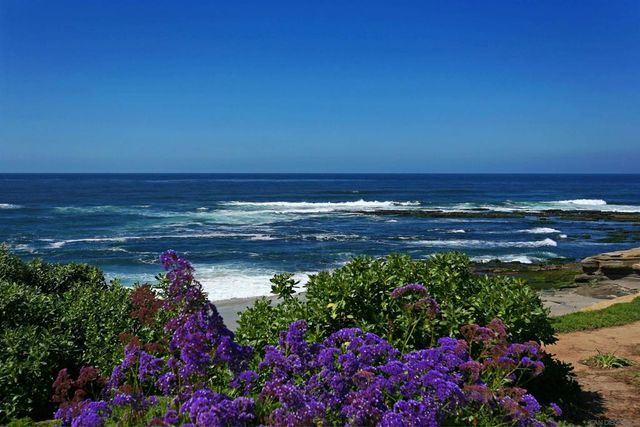 7757 Eads B4, La Jolla, CA 92037