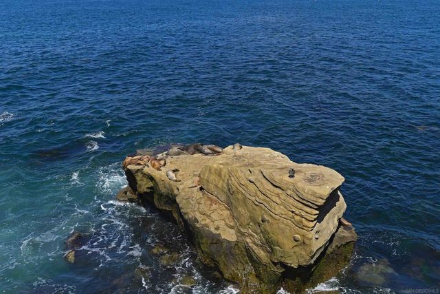 7757 Eads B4, La Jolla, CA 92037