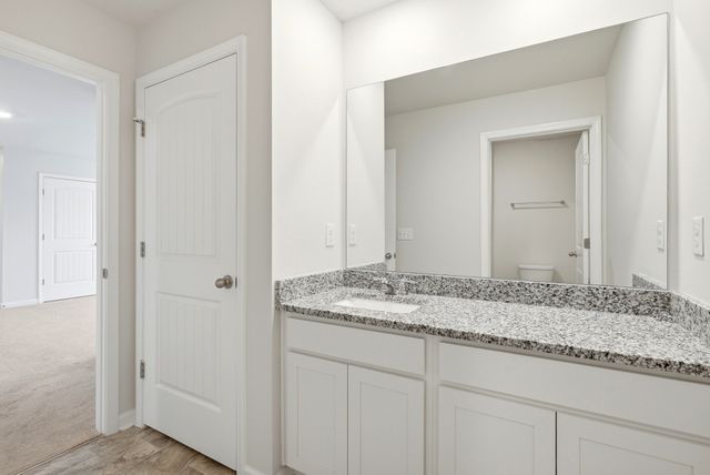 125 Stammer Farms Blvd, Chapel Hill, TN 37034