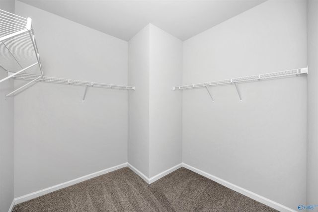 104 Gypsy Way, Toney, AL 35773