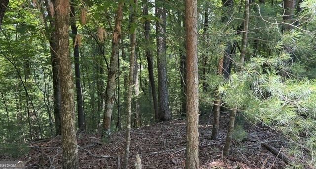 LOT 1178 Optic Court, Ellijay, GA 30540