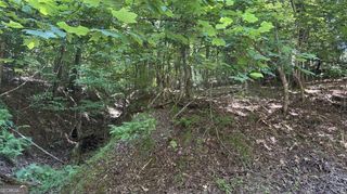 LOT 1178 Optic Court, Ellijay, GA 30540
